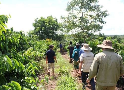 Truy tìm kẻ hiếp, giết bé gái 7 tuổi tại rẫy cà phê - 1 Người dân tích cực phối hợp để truy tìm nghi can hiếp giết bé gái 7 tuổi