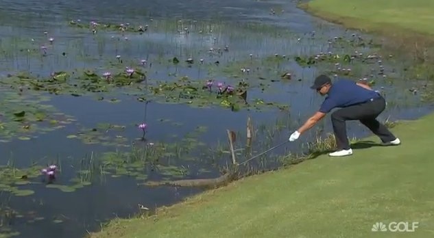 Cá sấu “ghé thăm” ở sân golf, vận động viên “cả gan” trêu chọc - 1 VĐV Henrik Stenson chọc giận cá sấu