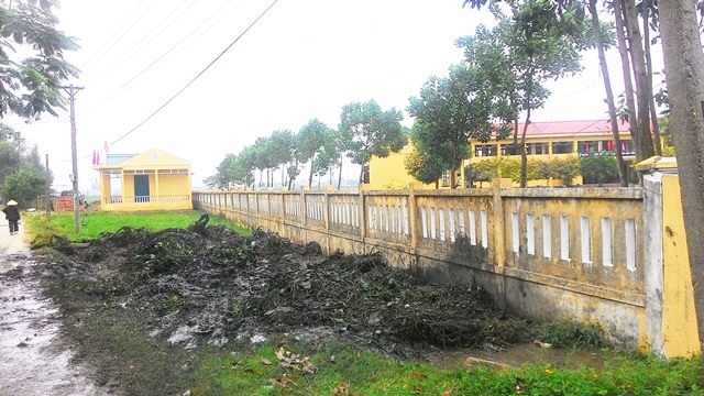 Bãi bùn sát trường học