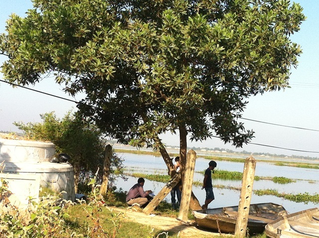 Đi làm đồng phát hiện người đàn ông treo cổ trên cây - 1
Hiện trường nơi phát hiện vụ việc.