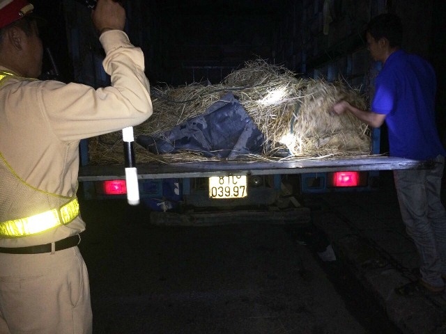 Xe chở gỗ quý bị bắt trong đêm khuya