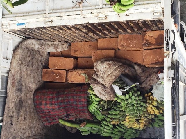 Dùng hàng trăm buồng chuối ngụy trang gỗ lậu - 2 Số gỗ lậu được ngụy trang trên xe chở hàng trăm buồng chuối