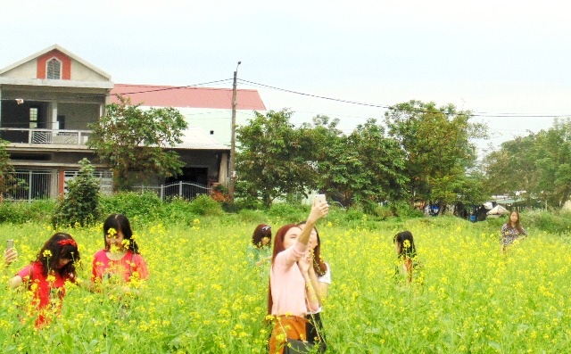 Bạn trẻ Huế mê mẩn mùa hoa cải vàng dịp cận Tết - 3 Vườn cải đông khách vào dịp cuối tuần