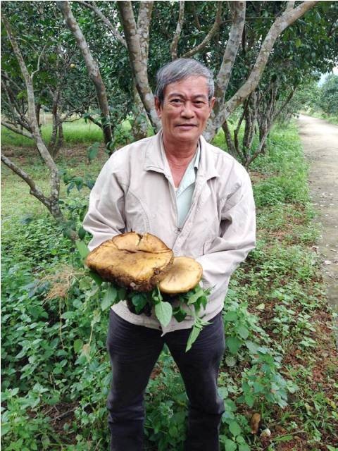 Chuyên gia nói gì về vườn nấm "khủng" ở Huế? - 6
Ông Lê Cảnh Nghĩa (68 tuổi) trú tại đường Bùi Thị Xuân, TP Huế mặc dù đang nằm viện nhưng vẫn tự chạy xe tới xem vườn nấm “khủng” vì hiếu kỳ