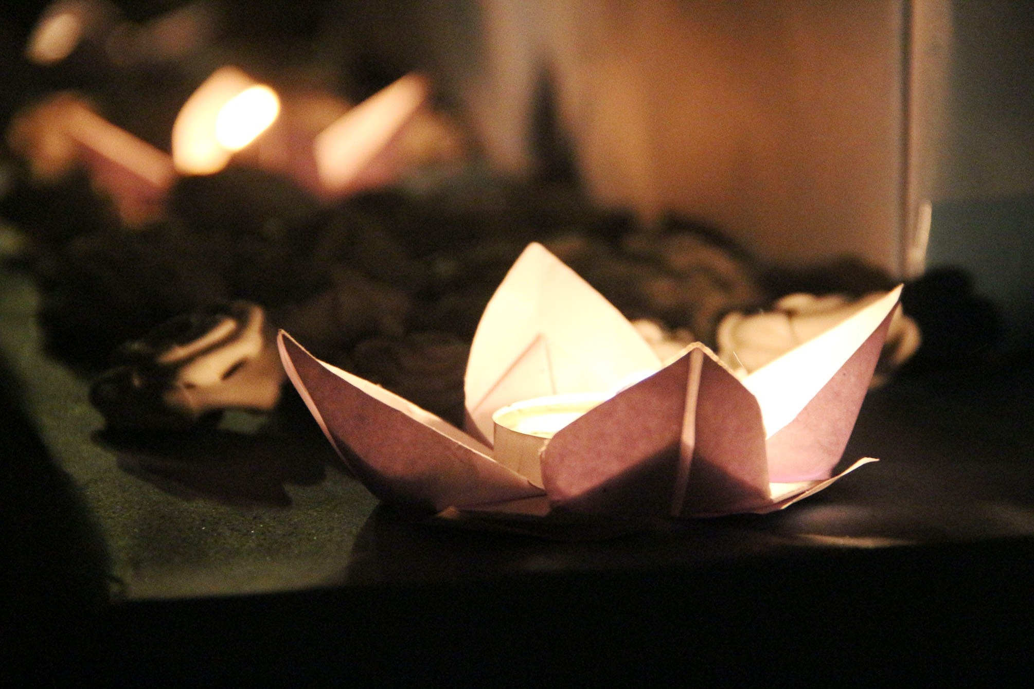 Sinh viên Đại học Y Dược Huế tri ân người hiến xác - 6