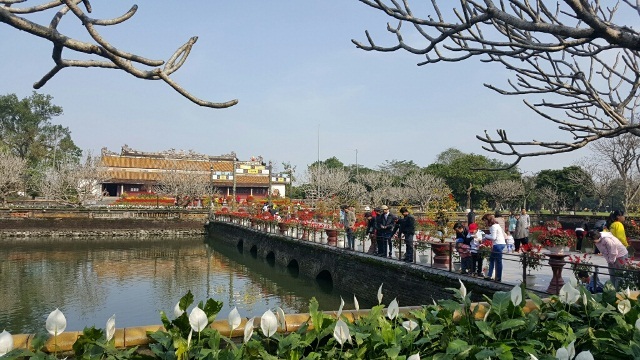 Gần 5 vạn khách đến tham quan di tích Huế 3 ngày Tết - 3 Cầu Trung Đạo dẫn vào điện Thái Hòa được trang trí với nhiều hoa thơm cỏ lạ ngày đầu năm Bính Thân (ảnh: TS. Phan Thanh Hải cung cấp)
