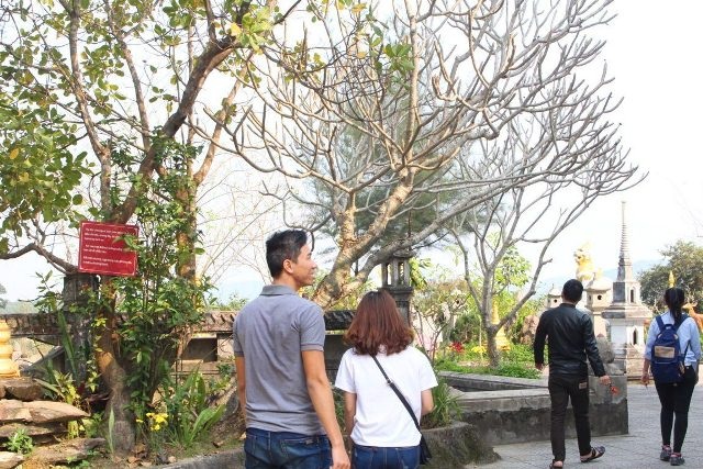 Hằng ngày và đặc biệt là những ngày lễ Tết, nhiều người dân Huế và du khách thập phương đến chùa để tham quan cũng như cầu sức khỏe, bình an