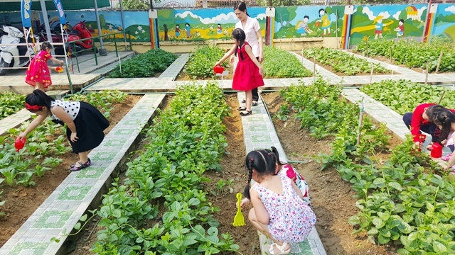 Vườn rau sạch tại trường Mầm Non 1, Thành phố Huế