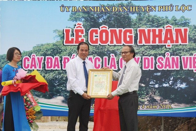 Cây đa 300 tuổi thành cây Di sản thứ 3 tại Huế - 3 Đại biểu Hội Bảo vệ thiên nhiên và môi trường trao bằng công nhận Cây đa Di sản cho ông Nguyễn Văn Mạnh, Chủ tịch UBND huyện Phú Lộc (bên trái)