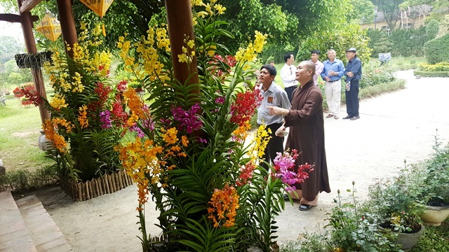 Ngỡ ngàng với phong lan đẹp tuyệt tại vườn thượng uyển Cơ Hạ - 4 Du khách, người dân thích thú chụp ảnh, chiêm ngưỡng phong lan