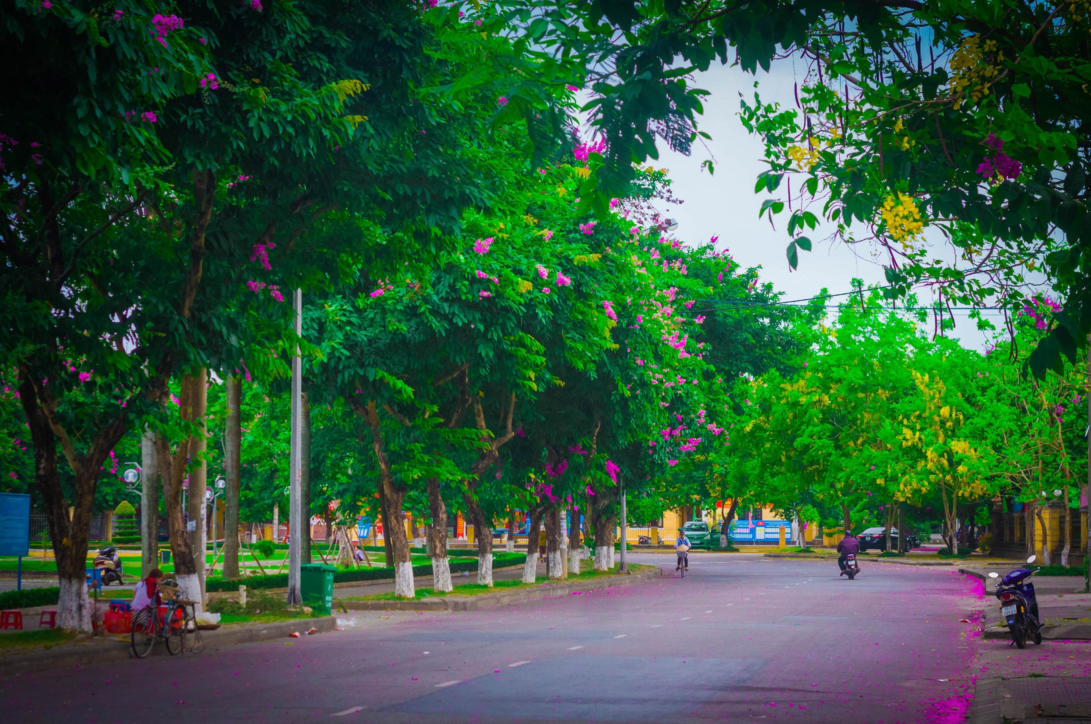 Đường phố Huế thêm lãng mạn bởi sắc tím hoa bằng lăng - 7 Những quán nước vỉa hè bày ra ngay dưới gốc bằng lăng ven đường để “tận hưởng” vẻ đẹp tím