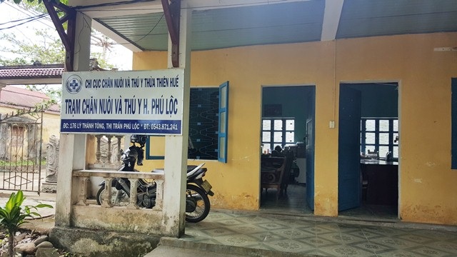 Thừa Thiên Huế: Heo không vào lò mổ tập trung vẫn có dấu thú y? - 5 Dư luận đang đặt nghi vấn cán bộ trạm Chăn nuôi và Thú y huyện Phú Lộc đóng dấu lậu cho heo không vào lò mổ tập trung Chân Mây để đưa ra thị trường tiêu thụ