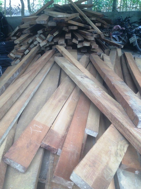 Số gỗ lậu hơn 4 khối gỗ Kiền và Gõ tại xưởng cưa em trai chủ tịch xã Thượng Quảng