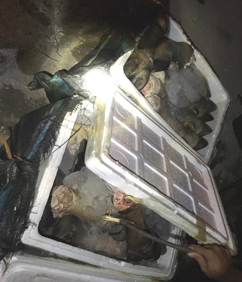 Bắt hàng trăm cân chân trâu thối từ Bắc vào Nam tiêu thụ - 1