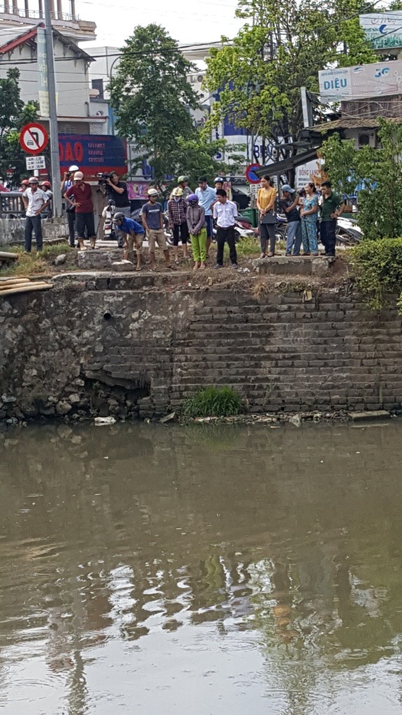 Cá nhỏ chết, bơi lờ đờ trên sông An Cựu - 5 Cá nhỏ chết, bơi lờ đờ trên sông An Cựu - 5