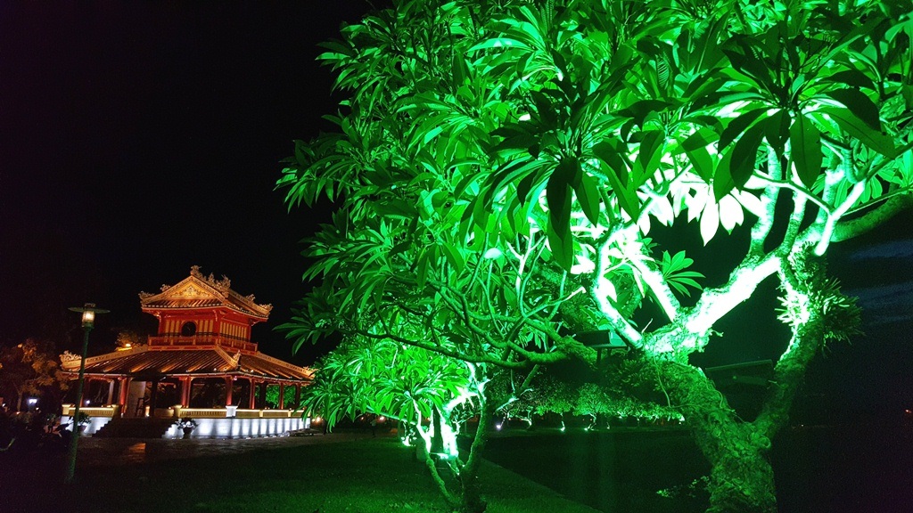 Phu Văn Lâu tỏa vẻ đẹp rực rỡ trong đêm - 15 Hàng sứ phía sau tôn thêm dáng vẻ mềm mại cho tòa lầu là biểu tượng của Huế này