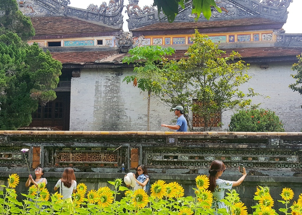 Vườn hoa hướng dương mới bên điện Thái Hòa được các nữ sinh thích thú chụp ảnh selfie