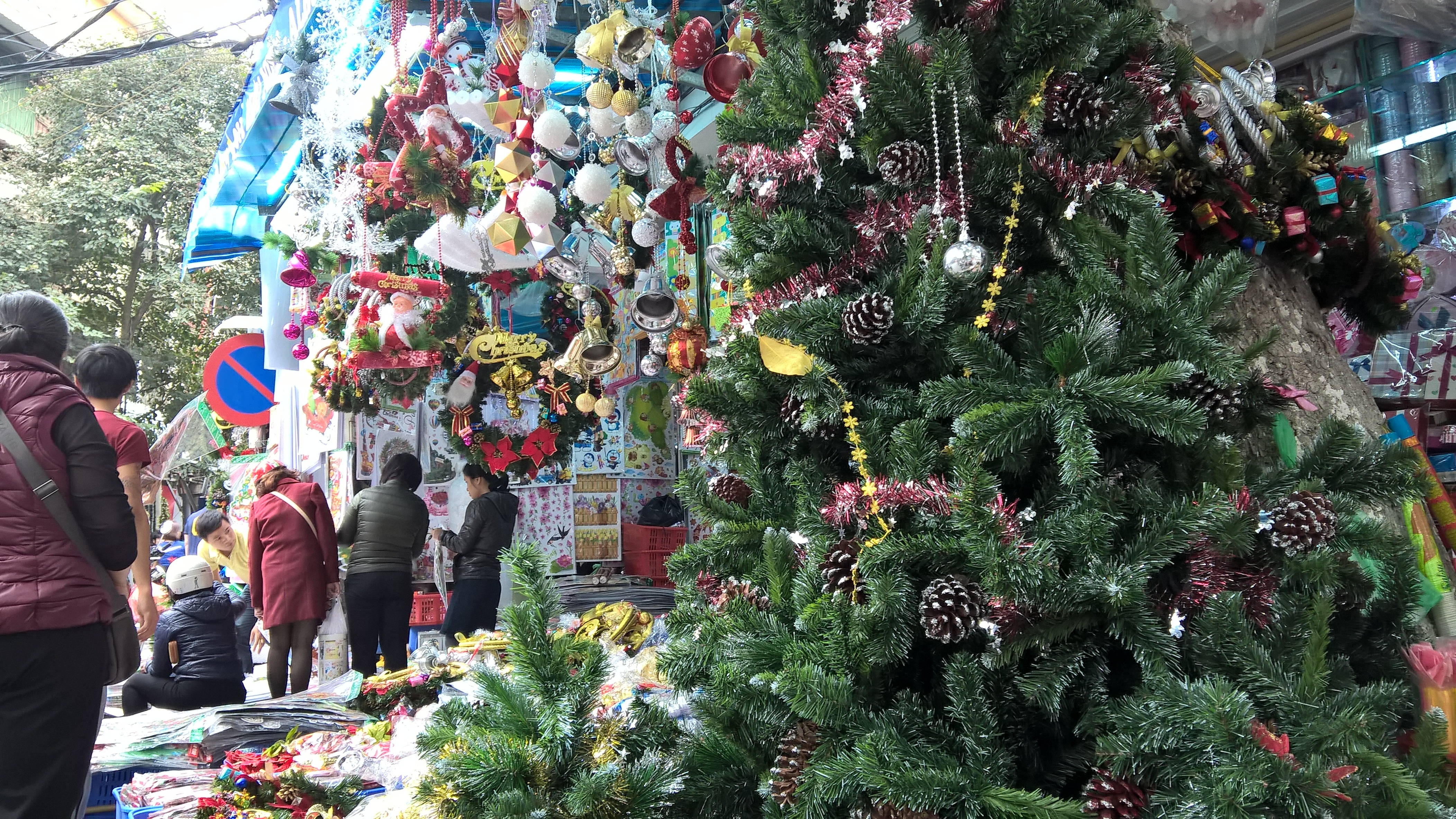 Gần 10 triệu đồng một cây thông đón Noel - 5 Những cây thông lớn được bày bán với giá cao ngất ngưởng