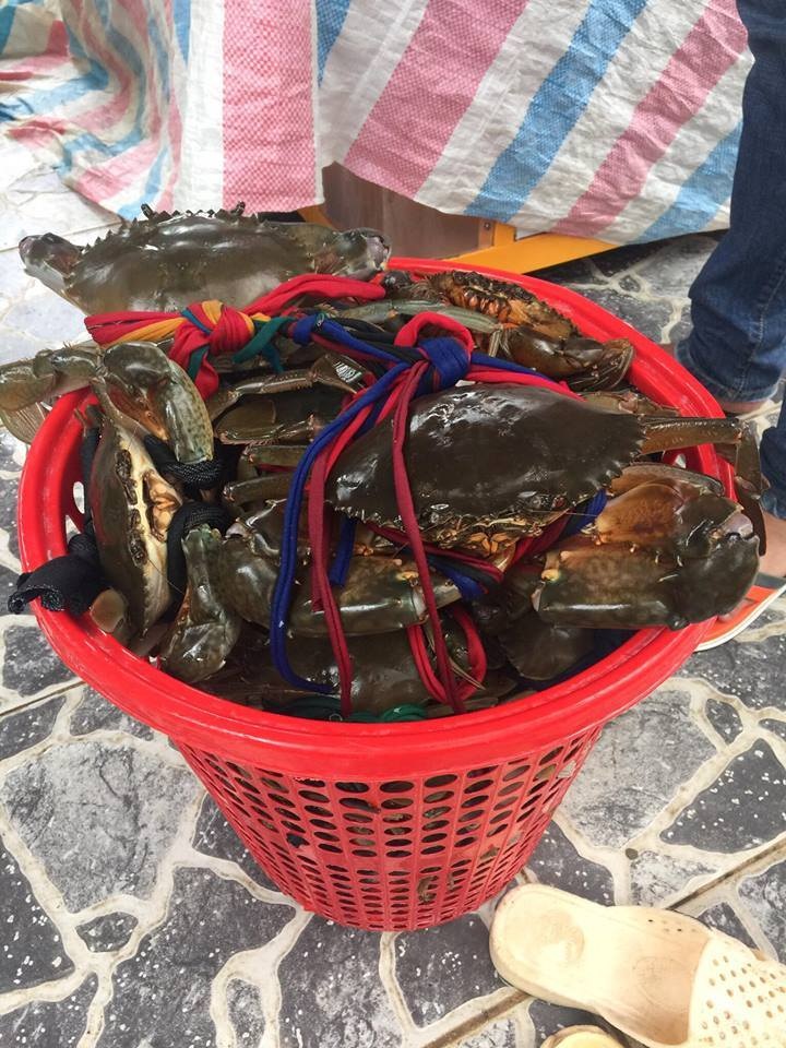 
Cua bể Cà Mau loại lớn
