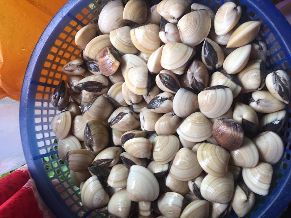 Chuyện chưa biết về nồi lẩu siêu khủng trị giá 50 triệu đồng ở Cà Mau - 13