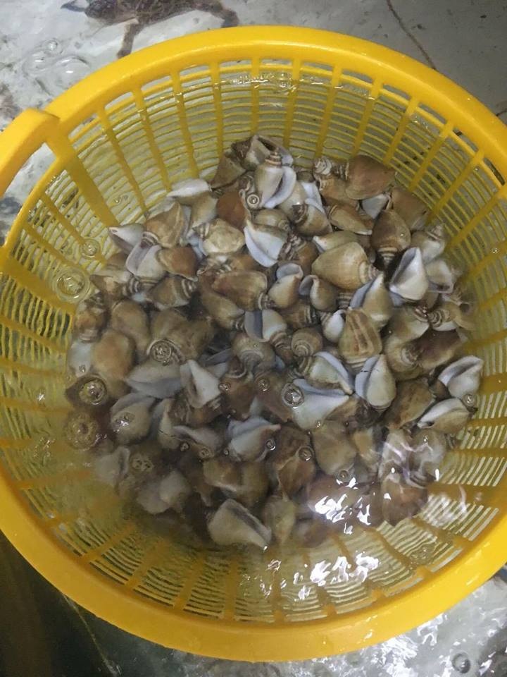 Chuyện chưa biết về nồi lẩu siêu khủng trị giá 50 triệu đồng ở Cà Mau - 9