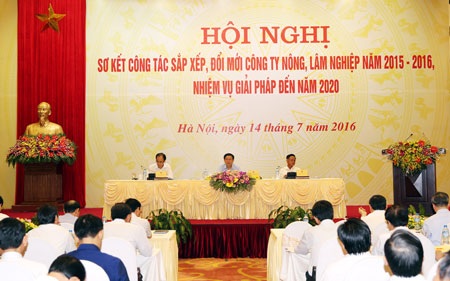 “Giá 1 kg cà phê không bằng 1 kg cà pháo” - 2 Hội nghị sơ kết công tác sắp xếp, đổi mới công ty nông, lâm nghiệp năm 2015 - 2016 sáng 14/7