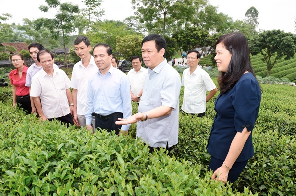 Thành lập Ban Chỉ đạo Trung ương các chương trình mục tiêu quốc gia - 1 Các chương trình mục tiêu quốc gia đã có BCĐ để kiểm tra, giám sát và đề xuất những chính sách có liên quan (ảnh: Báo Tuyên Quang)