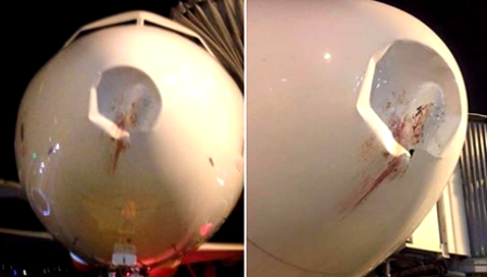 Hơn 1.100 tỷ đồng mua thiết bị đuổi chim ở sân bay? - 2 Vụ chim trời va vào máy bay đang chuẩn bị hạ cánh xuống sân bay Nội Bài cuối tháng 9/2015, gây móp đầu máy bay (ảnh: Facebook)