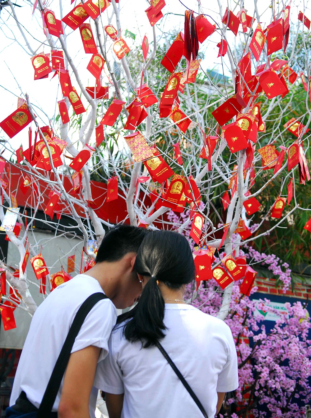 Đón tết tha hương, gửi nỗi niềm trên “cây điều ước” - 3 Đôi bạn trẻ viết điều mong muốn trước cây điều ước