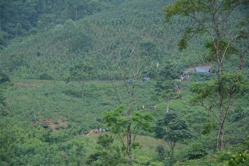 resized-dsc-0464-fcb9d