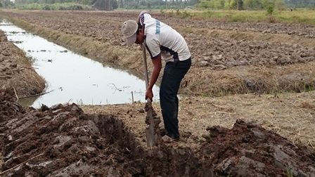 Đào đất thuê để có tiền đóng học phí và nuôi bà ngoại bệnh - 3 Sau mỗi giờ học, Quân tranh thủ làm thêm như đào đất, phụ hồ... để kiếm tiền trang trải cuộc sống và lo cho bà ngoại.