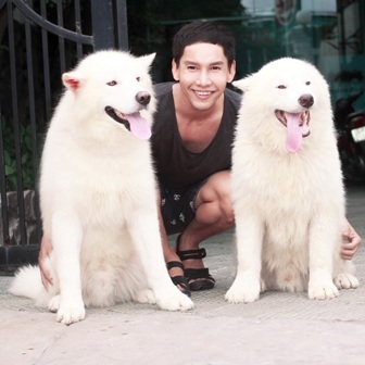 Cần Thơ: Chàng thanh niên phát tài vì mê chó sang, chảnh - 1 Anh Phúc bên cạnh những con chó cảnh đắt tiền