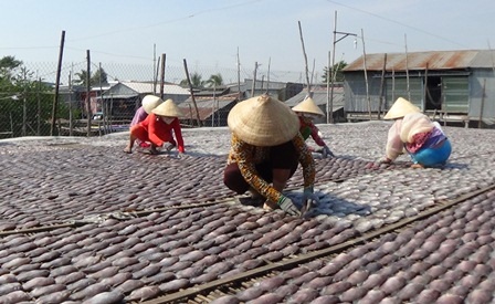 Vào dịp gần tết là mùa ăn nên làm ra của làng khô nổi tiếng này