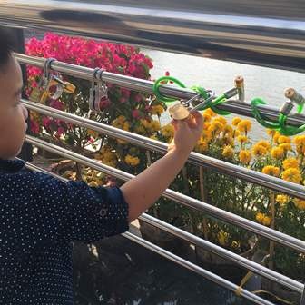 Hôm 13/2, trên thành cầu đi bộ Cần Thơ xuất hiện hàng loạt ổ khóa tình yêu với nhiều màu sắc và kiểu dáng khác nhau.