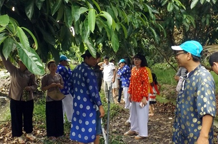 Thăm vườn trái cây