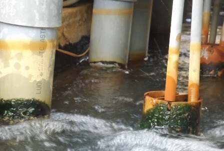 Rong rêu, phèn đóng vào các đầu ống nước và hệ thống chứa trông rất bẩn