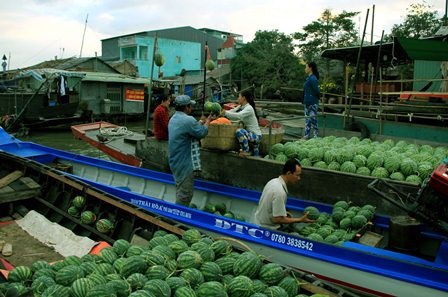 Về Cần Thơ, đừng quên "đặc sản" chợ nổi Cái Răng - 3
Chợ nổi Cái Răng được xem là địa du lịch hấp dẫn ở vùng ĐBSCL