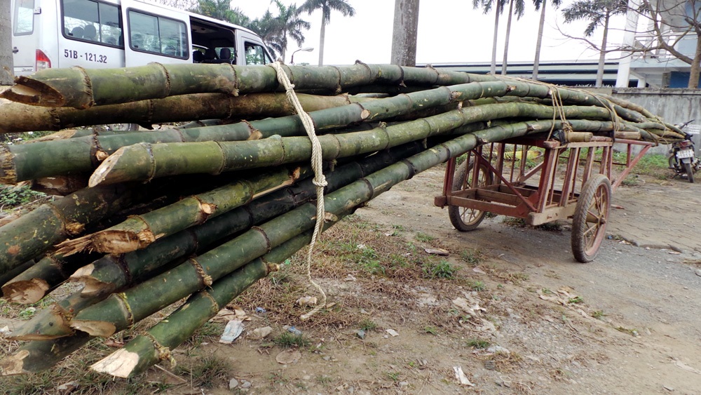 Hà Nội: Xe máy “siêu trường” và ô tô “siêu cũ nát” - 1
Chiếc xe máy siêu trường dài khoảng 15m. Người điều khiển chiếc xe này phải rất khéo léo để không gây va chạm với các phương tiện khác.