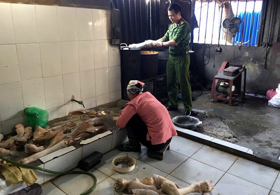 Hà Nội: Tiêu hủy 3,7 tấn bò không rõ nguồn gốc - 2 Khu sơ chế của cơ sở sản xuất guốc bò, nem chao.