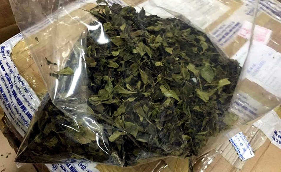 Thu giữ 2,5 tấn thảo mộc sấy khô chứa chất ma túy - 2 Thu giữ 2,5 tấn thảo mộc sấy khô chứa chất ma túy - 2