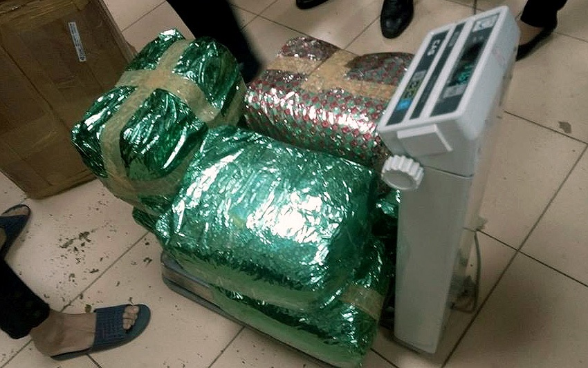 Đường đi của 2,5 tấn “lá khat” - loại ma túy mới cực độc - 4 “Lá khat” thường được trà trộn vào các loại thảo mộc khô, chè, cây nguyên liệu…, được bọc cẩn thận bằng các lớp nilon trước khi đóng vào thùng các-tông.