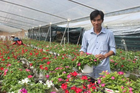 Nguyễn Anh Duy thành công bên vườn hoa của mình