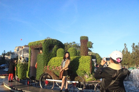 Du khách mê mẩn chụp ảnh với đoàn tàu lửa bằng hoa - 7