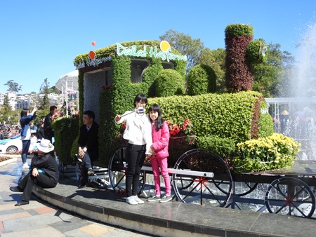 Du khách mê mẩn chụp ảnh với đoàn tàu lửa bằng hoa - 1