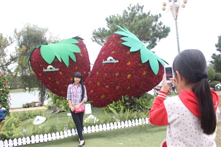 Đà Lạt "quá tải" du khách tham quan dịp Tết dương lịch - 3