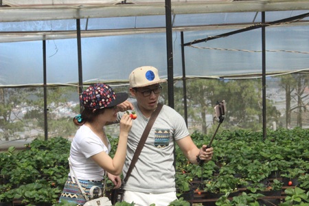 Du lịch nông nghiệp Đà Lạt “hớp hồn” du khách - 6