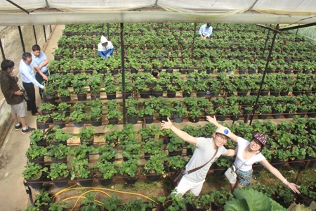 Du lịch nông nghiệp Đà Lạt hớp hồn du khách