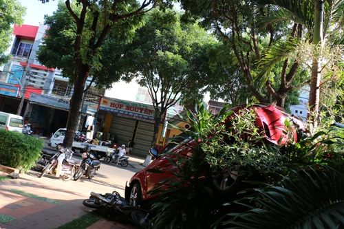 Chiếc xế hộp chỉ dừng lại khi tông vào bụi cây này