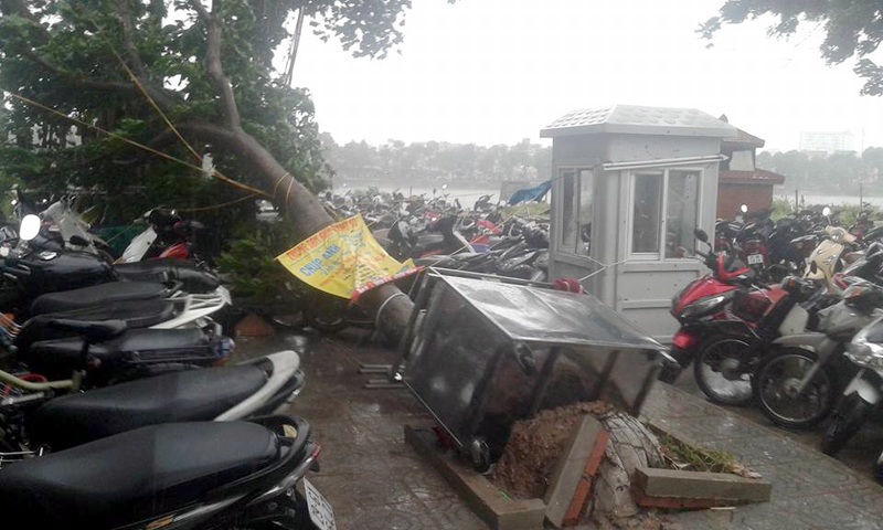 Hà Nội: 1 người chết, 5 người bị thương, gần 700 cây xanh gãy đổ - 6
Một cây lớn bị gió thổi bật gốc đè vào xe máy để dưới chân chung cư trong khu đô thị Linh Đàm
