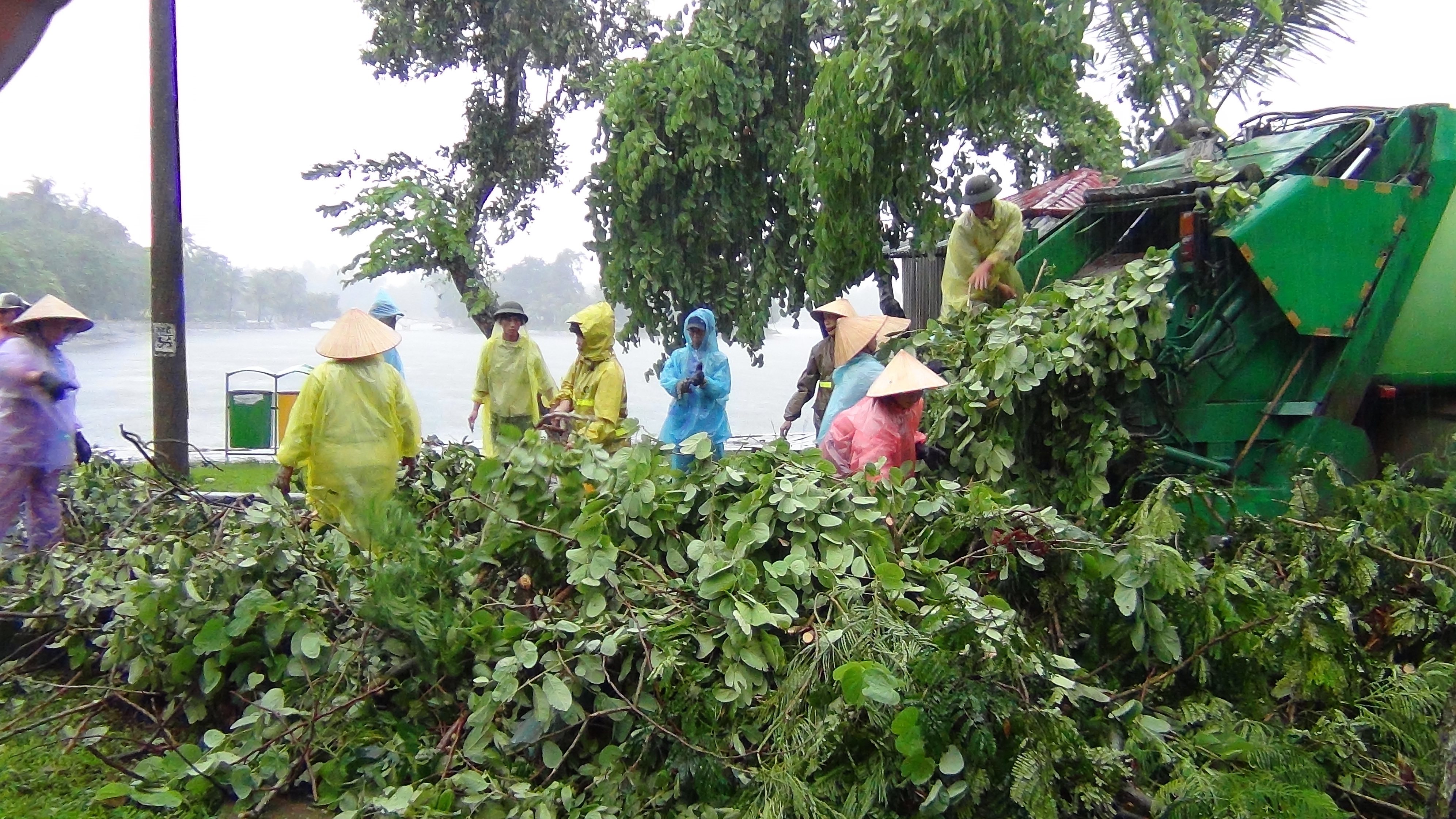 Công nhân thu dọn cây xanh bị độ trong công viên (Ảnh: Quang Phong)